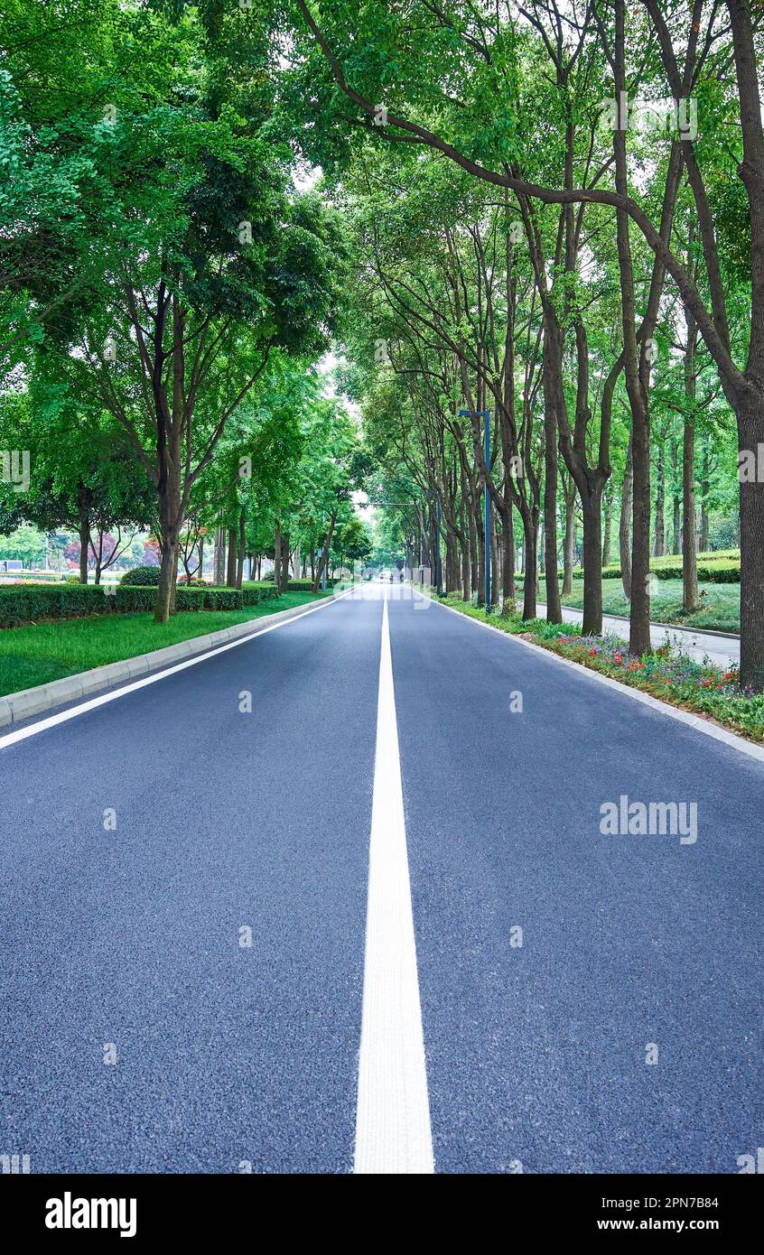 Straight Asphalt Road With Trees On Both Sides Stock Photo - Alamy