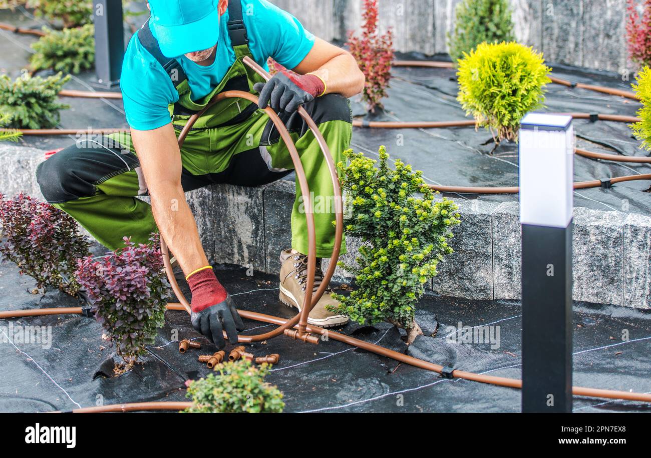 Professional Gardener with Pipes in His Hand Performing Installation of Watering System. Garden Care and Maintenance Theme. Stock Photo