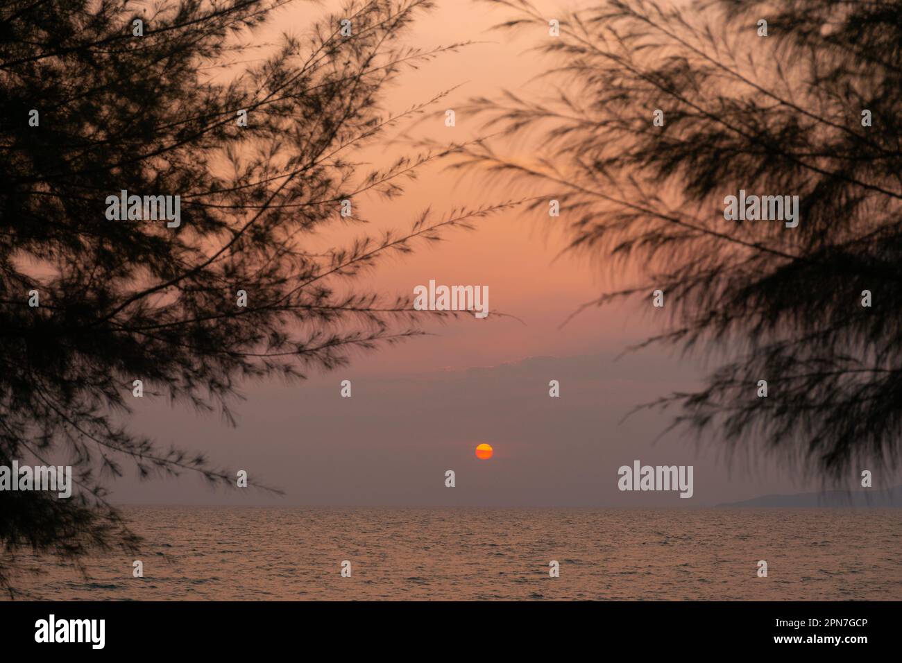 Tree Silhouette Sunset Sea and Sky Background Stock Photo - Alamy