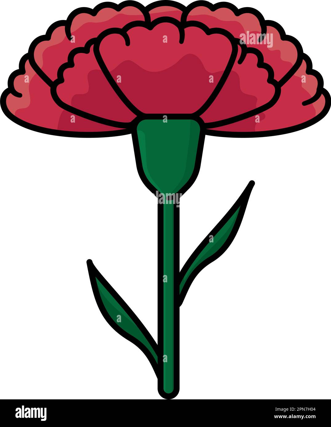 Red carnation flower isolated vector illustration for Carnation day on