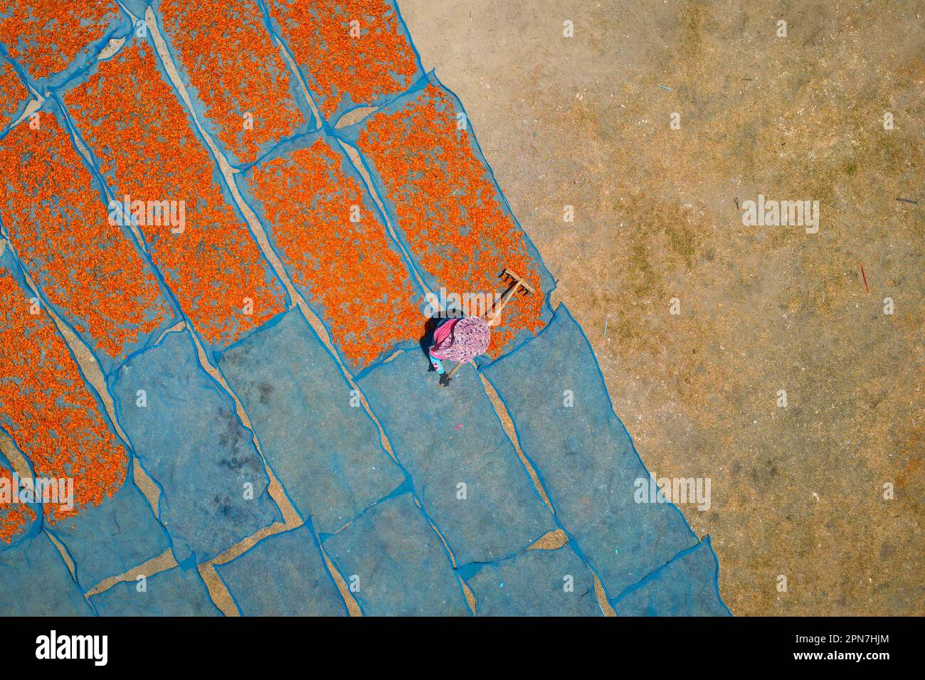 aerial view of fisherman working during drying shrimp process Stock
