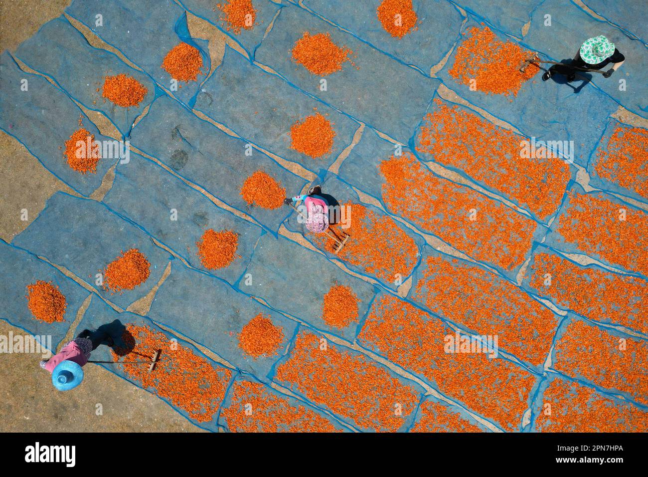 aerial view of fisherman working during drying shrimp process Stock