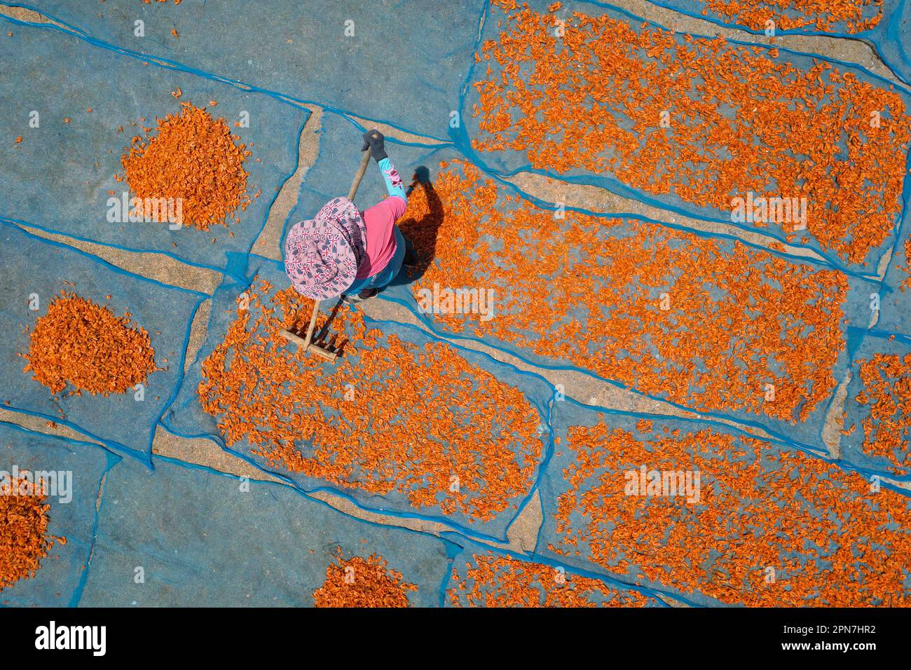 aerial view of fisherman working during drying shrimp process Stock