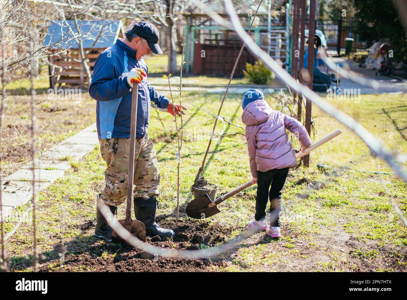 Father teaching his daughter how to plant a new fruit tree in spring