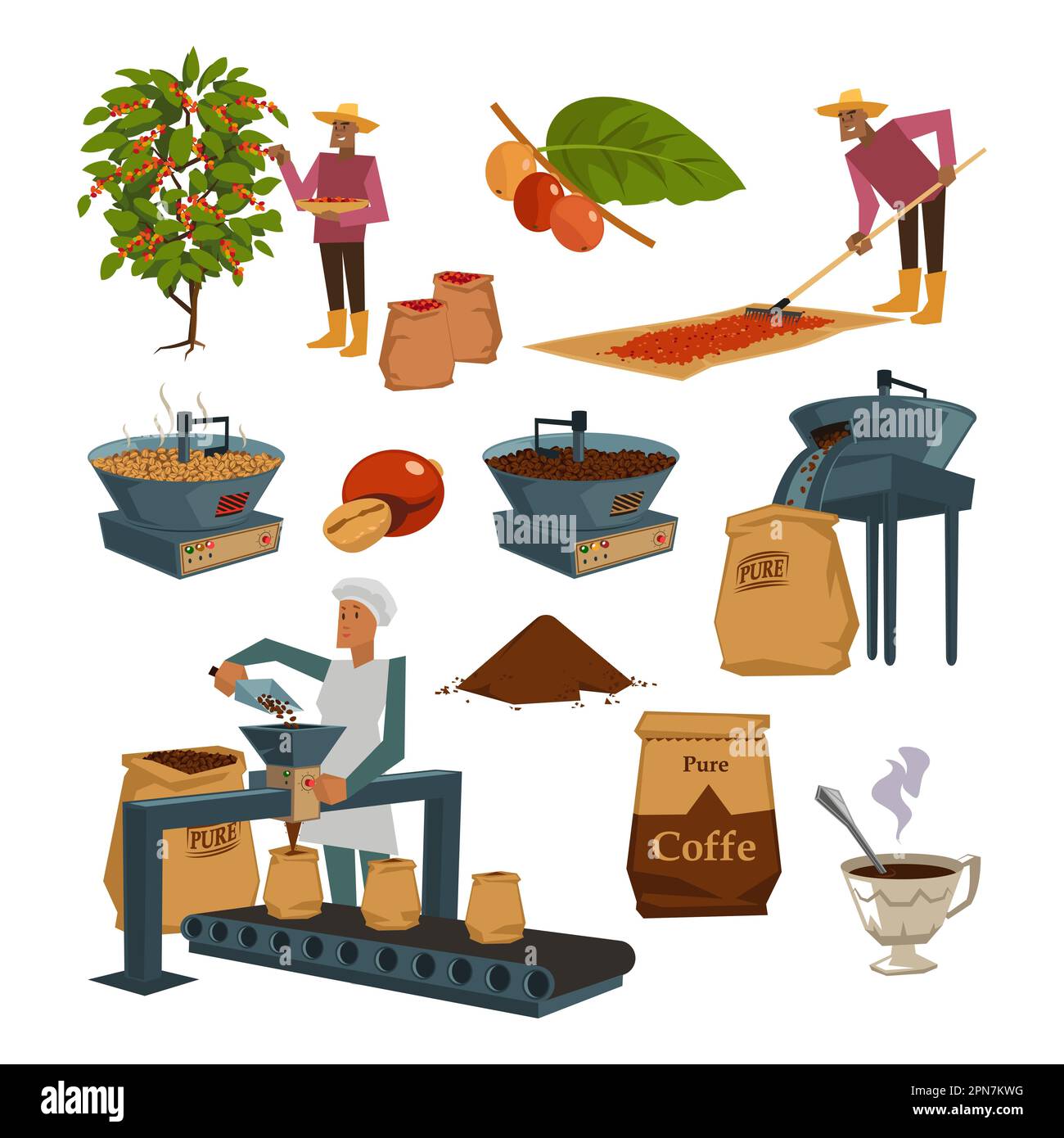 Coffee production process cartoon illustration set Stock Vector Image & Art Alamy