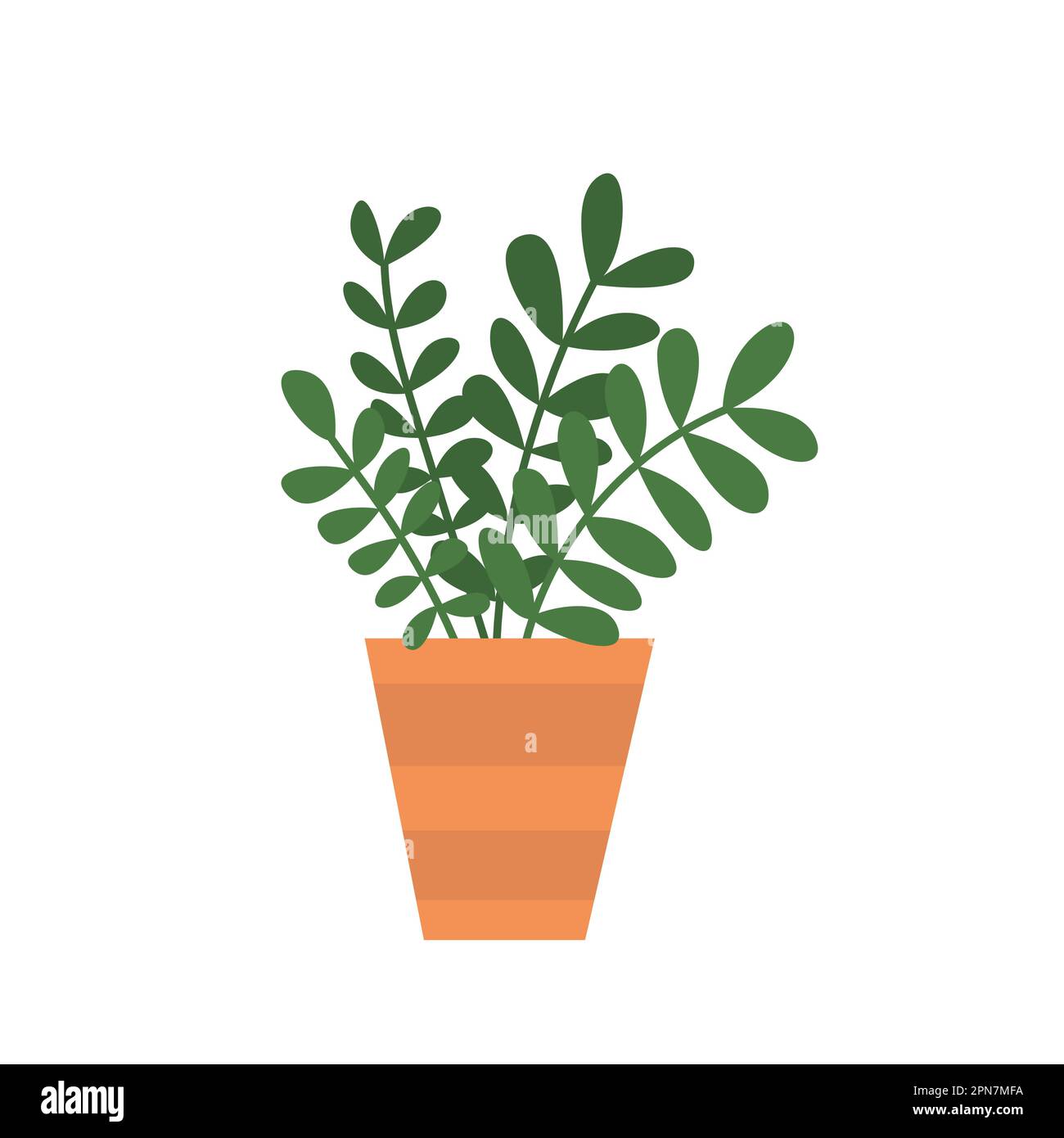 Vector house plant Stock Vector Image & Art - Alamy