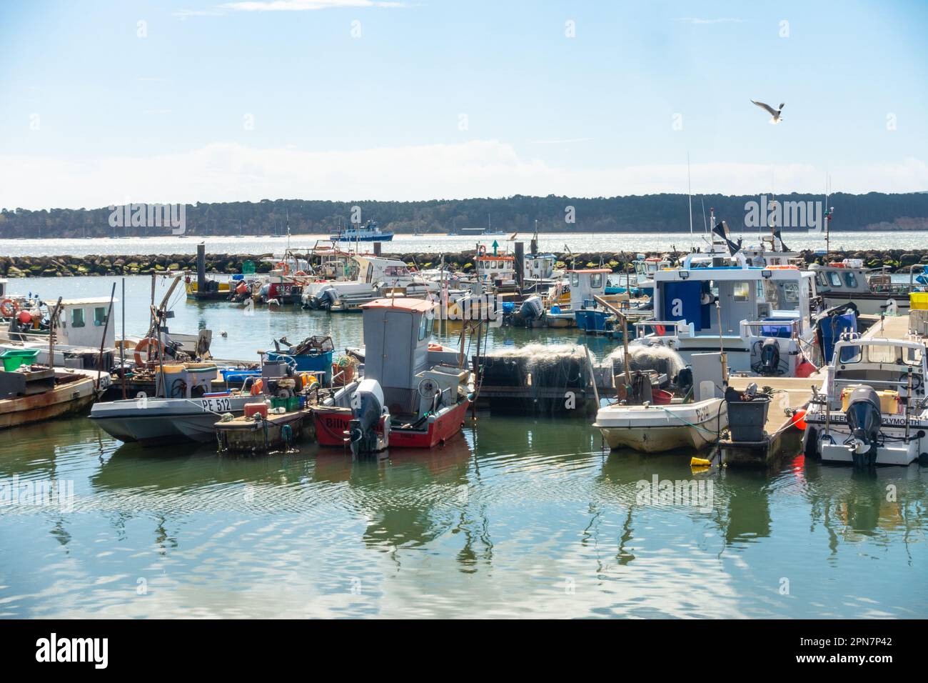 A view of boots in Poole Harbour with blue sky and reflections in the