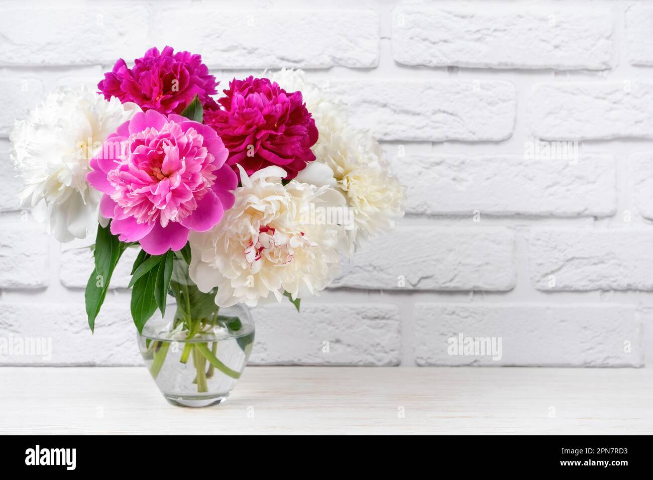 Bouquet of pink and white peony flowers in vase on white brick wall background. Mockup, template for holiday, birthday, mother's day. Banner, header w Stock Photo