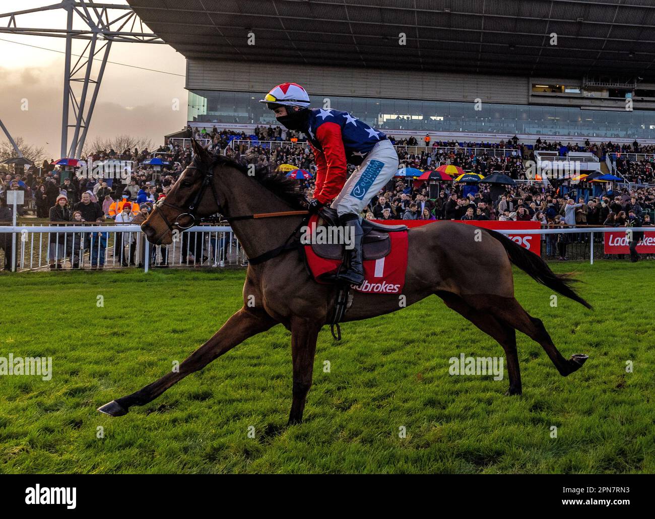 File photo dated 27-12-2021 of Kitty's Light, who is among 31 horses to stand their ground following the confirmation stage for Saturday's Coral Scottish Grand National. Issue date: Monday April 17,2023. Stock Photo