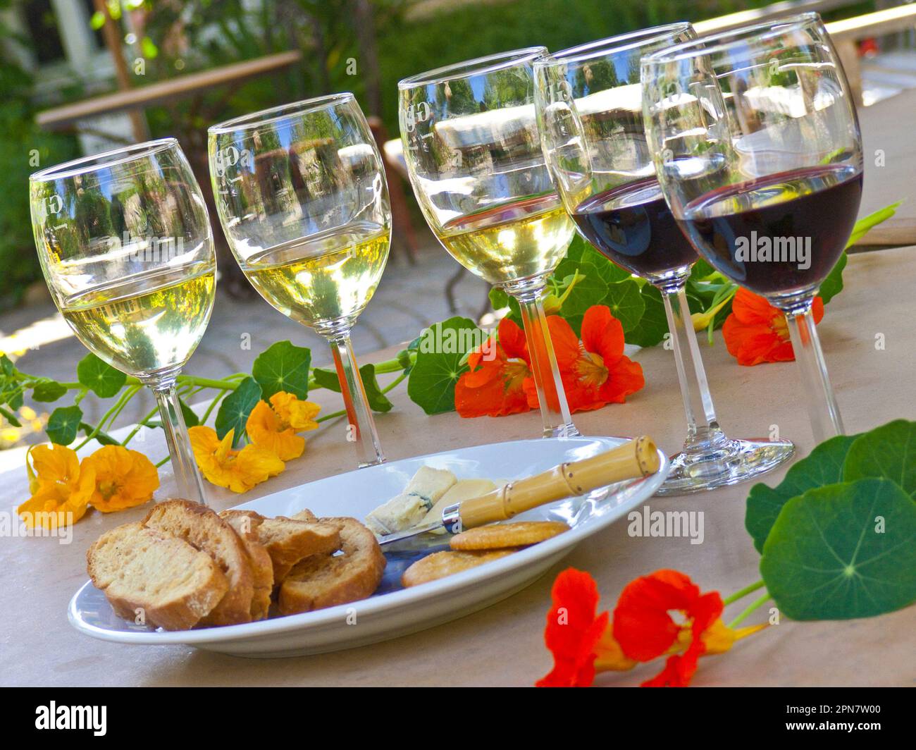 WINE TASTING CALIFORNIA FLORAL ALFRESCO  reds and whites California variety wine tasting, with cheese and toasts on attractive alfresco floral Californian winery cellar cave tasting table, with local vineyard flowers California USA Stock Photo