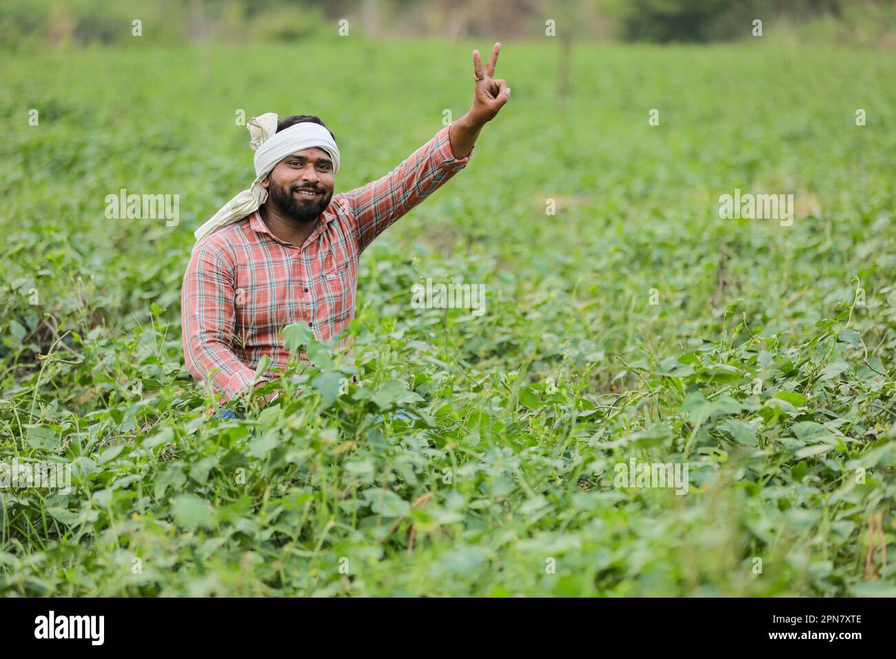 Happy Indian farmer, young farmer smiling in farm Stock Photo - Alamy