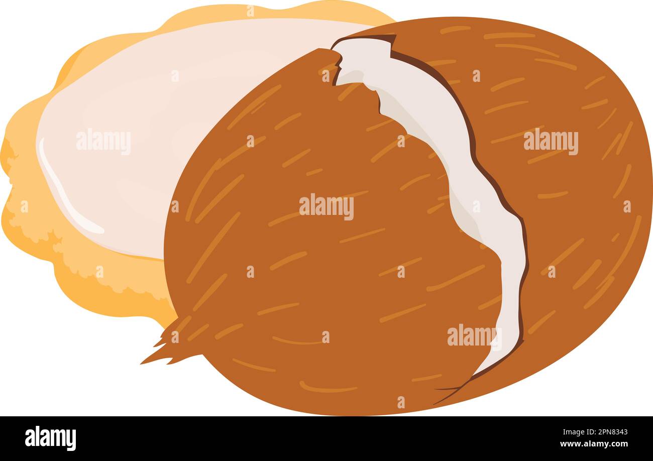 Coconut cookie icon isometric vector. Homemade shortbread cookie and ...