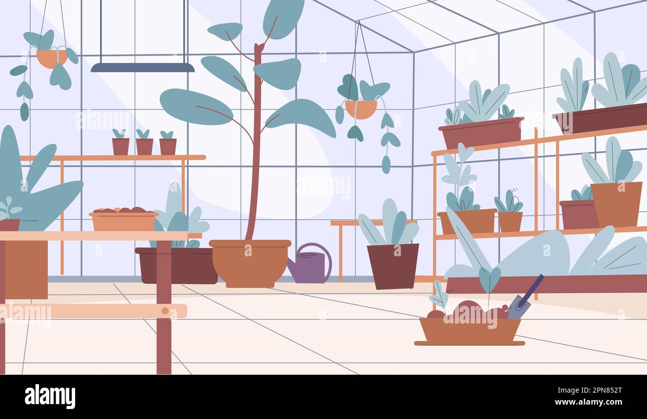 Empty greenhouse interior. Location with plants in pots, fresh greens and tiny tree in boxes. Gardening and planting, agriculture vector scene Stock Vector