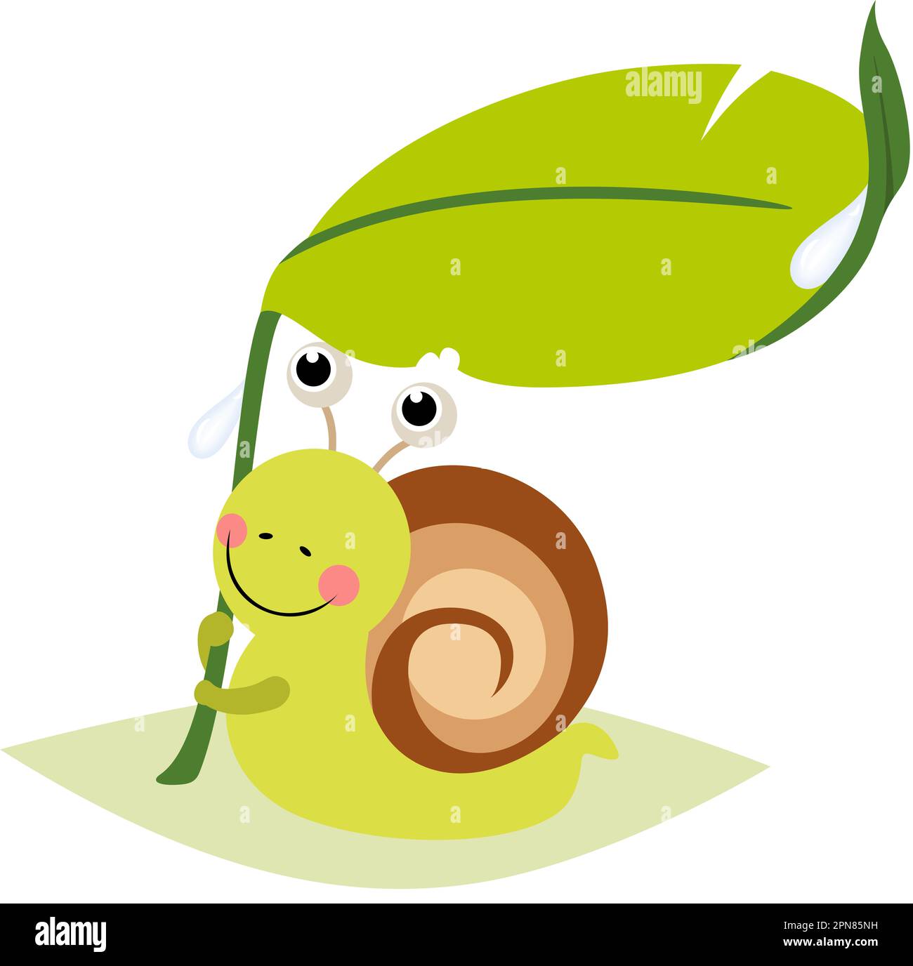 Funny snail sheltering from rain under green leaf Stock Photo - Alamy