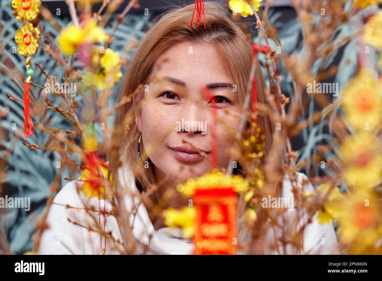 Chinese Lunar New Year. Yellow tree decorated for vietnamese Tet