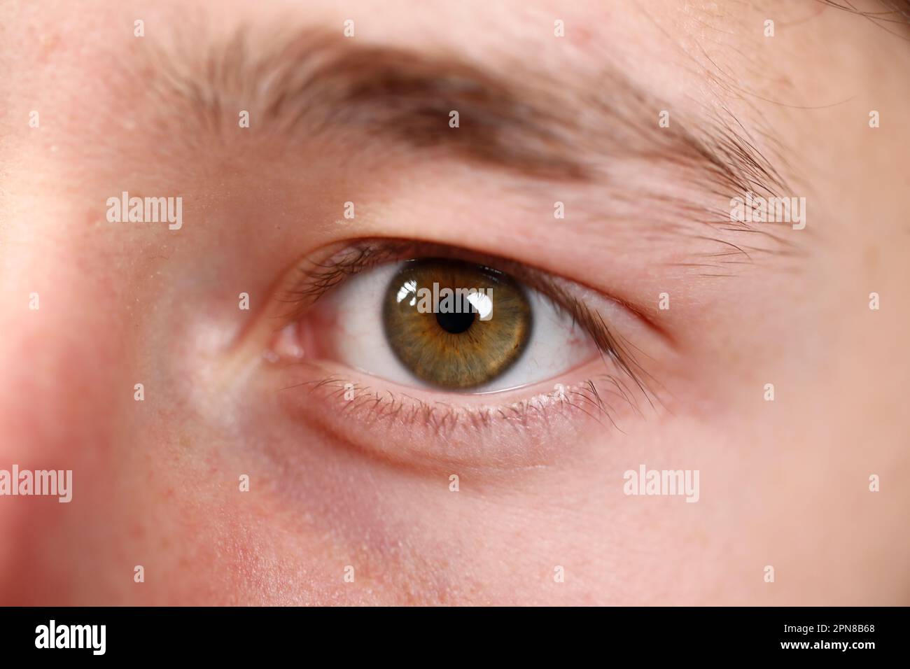 Green human eye close up. Stock Photo