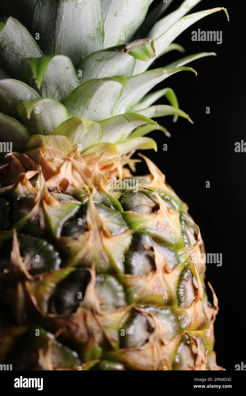 Top of a pineapple fruit with a rosette of leaves stock photo Stock Photo