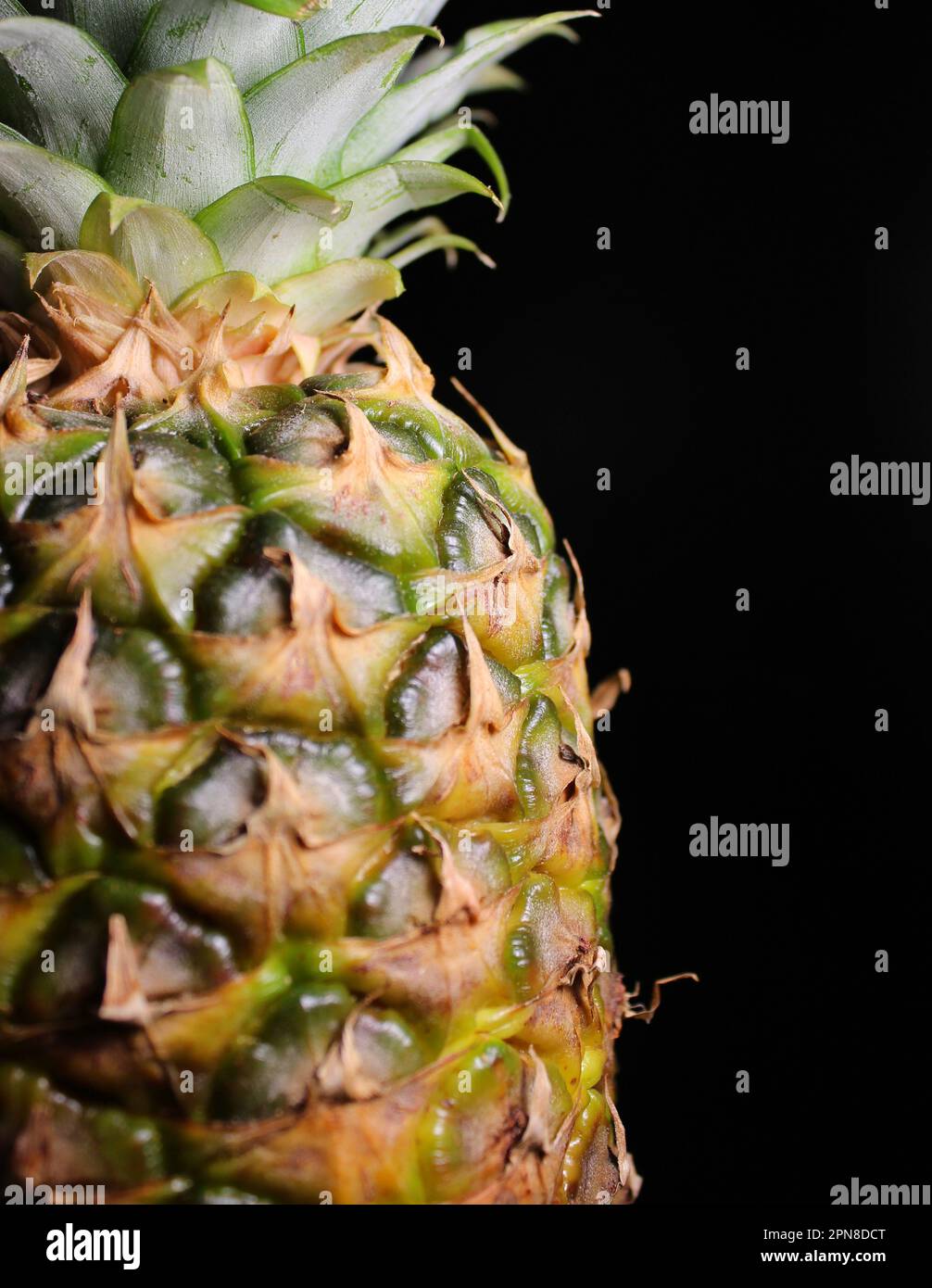 Closeup view of a part of a ripe pineapple where the rosette of leaves ...