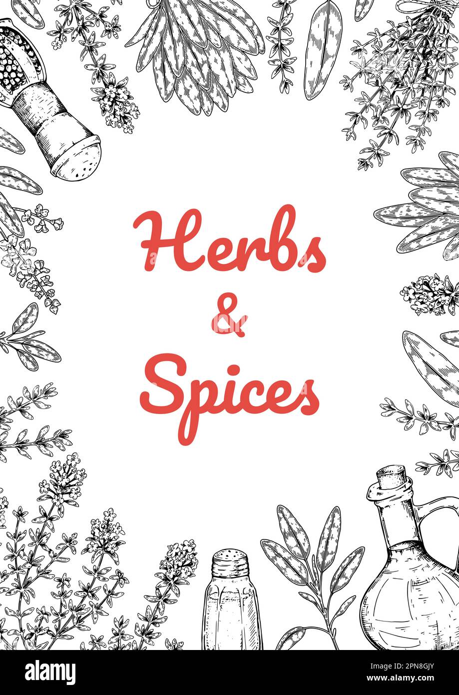 Herbs and spices vertical design. Hand draw background with cooking