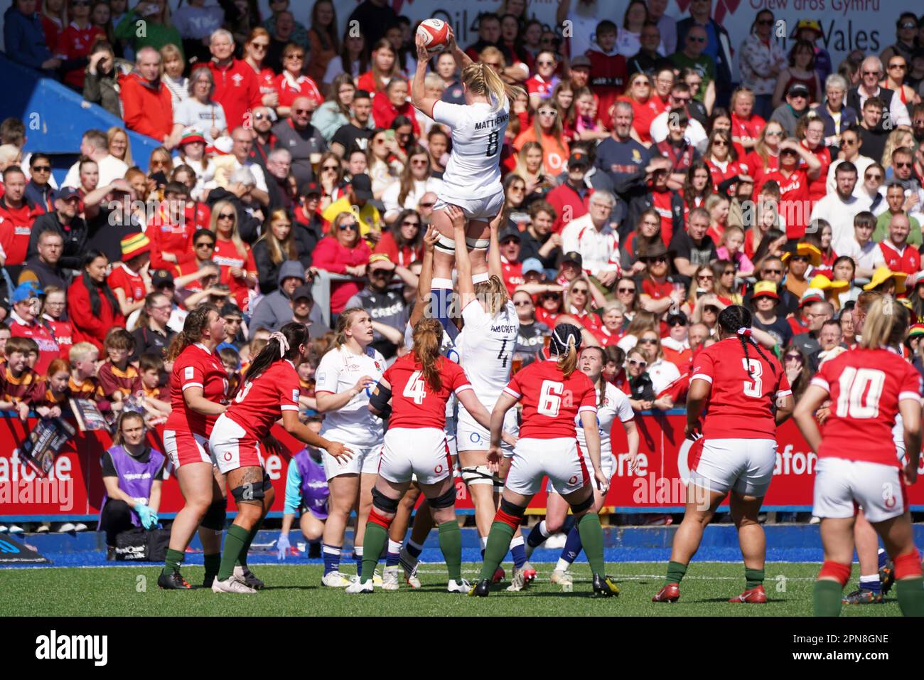 Alex Matthews collects at the line out in front of a record crowd at Cardiff Arms Park. Wales 3 v 59 England. Stock Photo