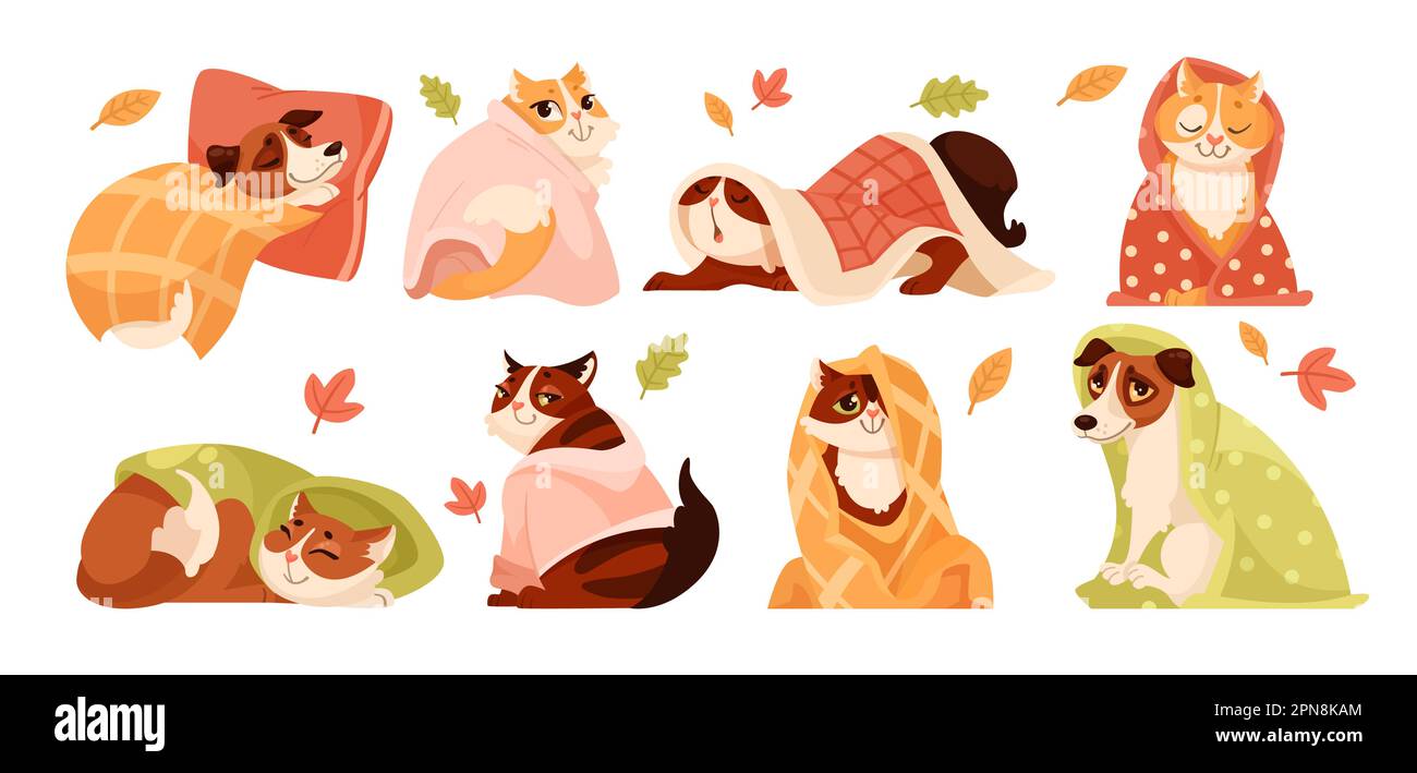 Cute cat and dog characters in blankets vector illustrations set Stock