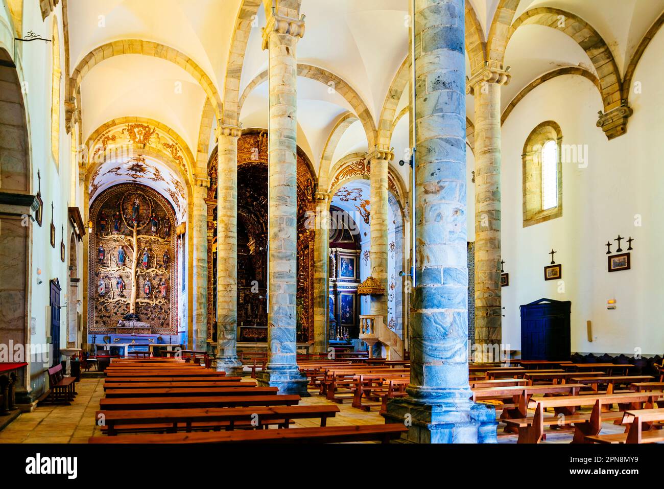 Side of the nave with the representation of the Tree of Jesse, depiction in art of the ancestors of Jesus Christ, shown in a branching tree which rise Stock Photo