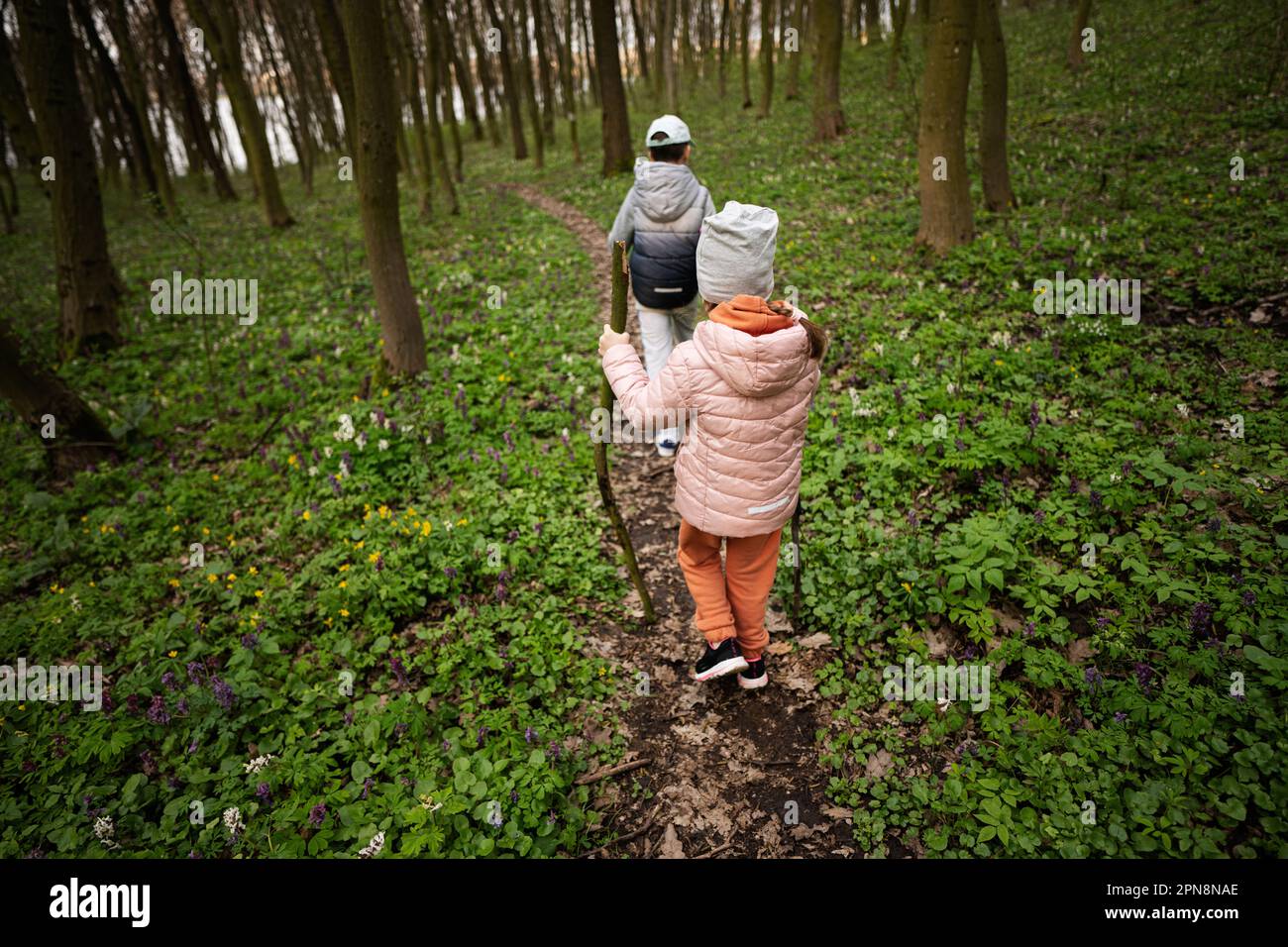 Back view of brother and sister kids walking on forest trail. Outdoor ...