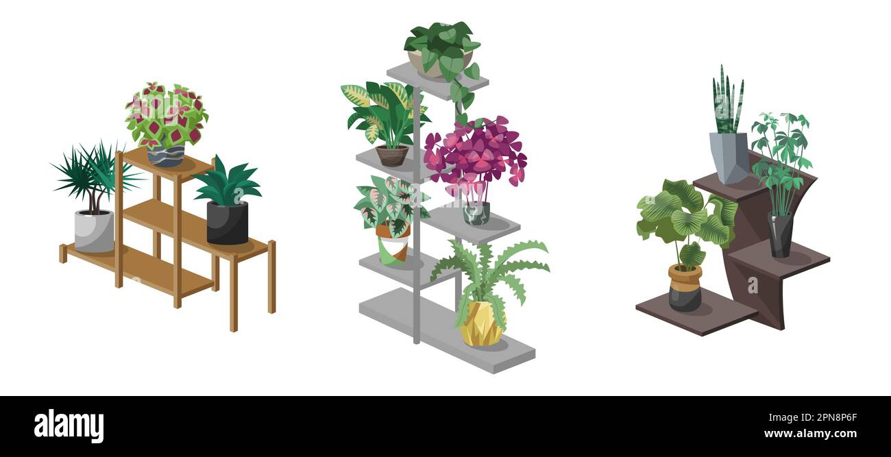 Houseplants on plant shelves cartoon illustrations set Stock Vector