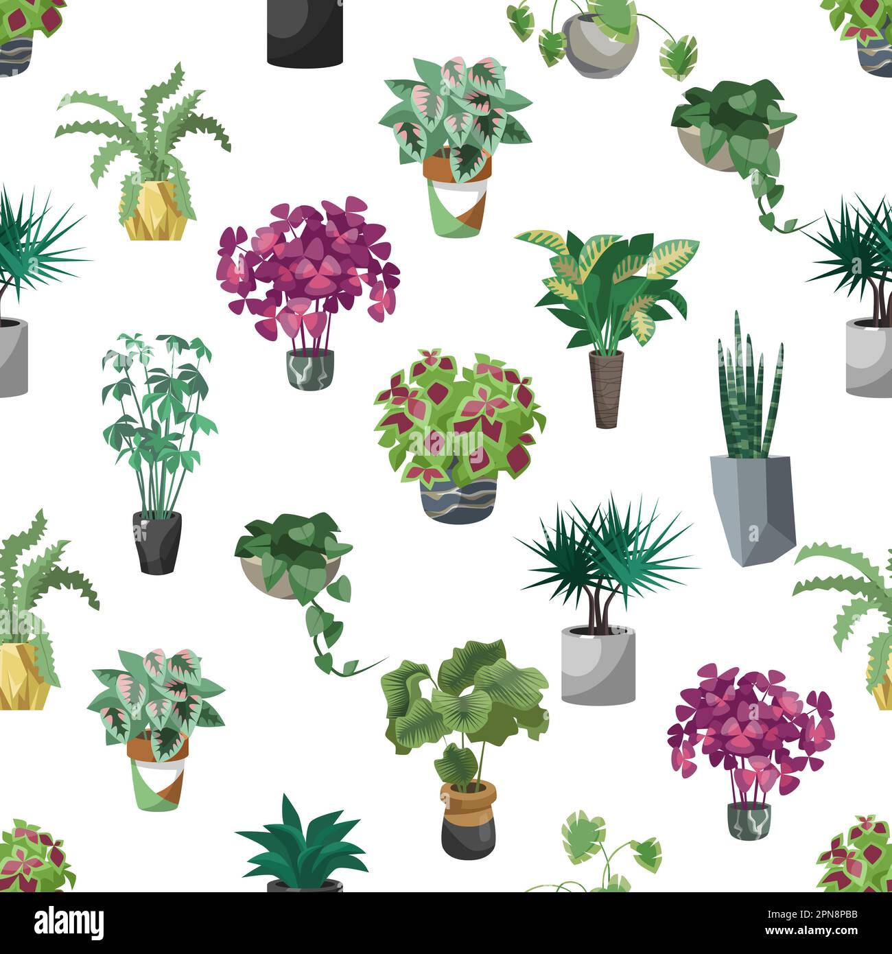 Houseplants in flowerpots cartoon illustrations set Stock Vector Image ...
