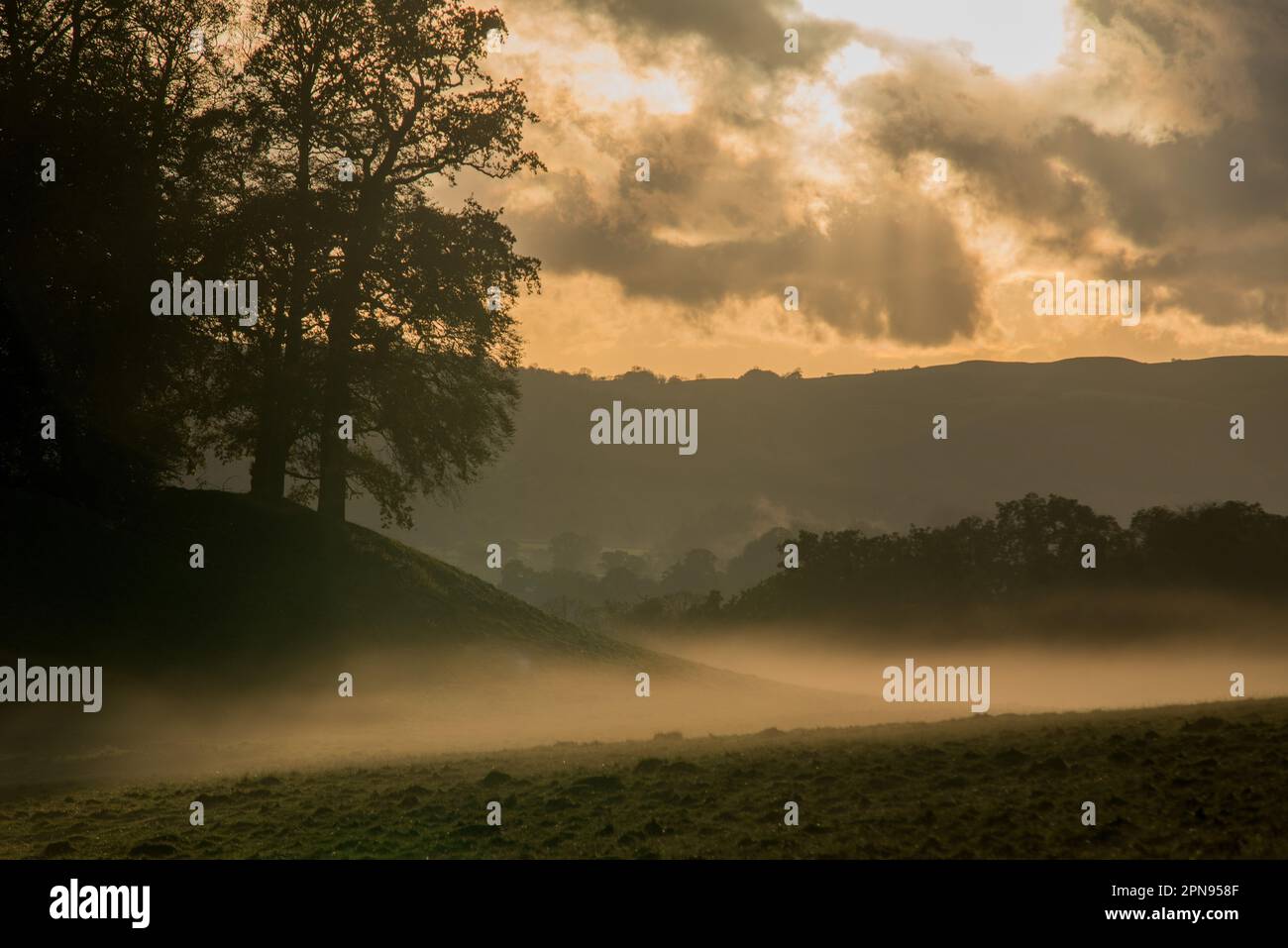 Mist forming at sunset due to temperature inversion Stock Photo - Alamy