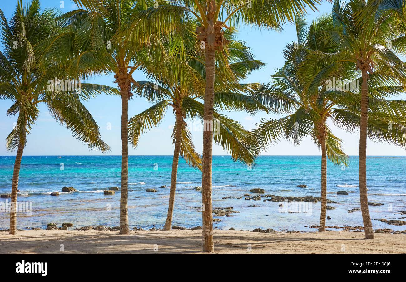 Beautiful tropical beach, summer holidays concept, Mexico. Stock Photo