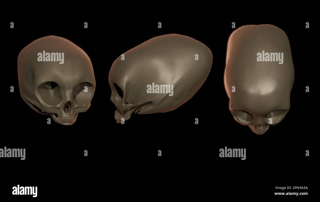 Alien skull. Elongated extraterrestrial skull. 3d render illustration