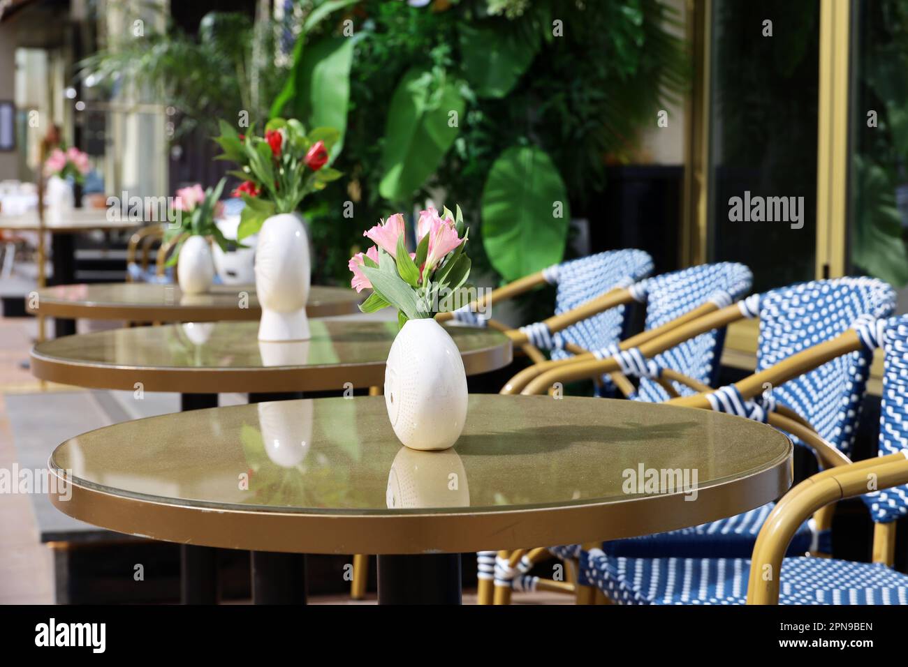 Street cafe in city with empty tables outdoor. Flowers in vases on round tables in sunny day Stock Photo