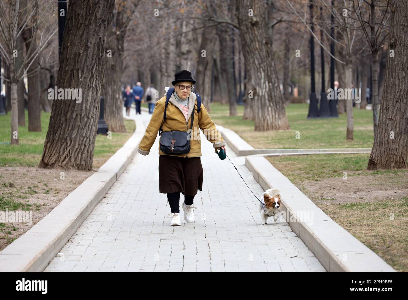 Elderly woman walking little dog in a spring park Stock Photo