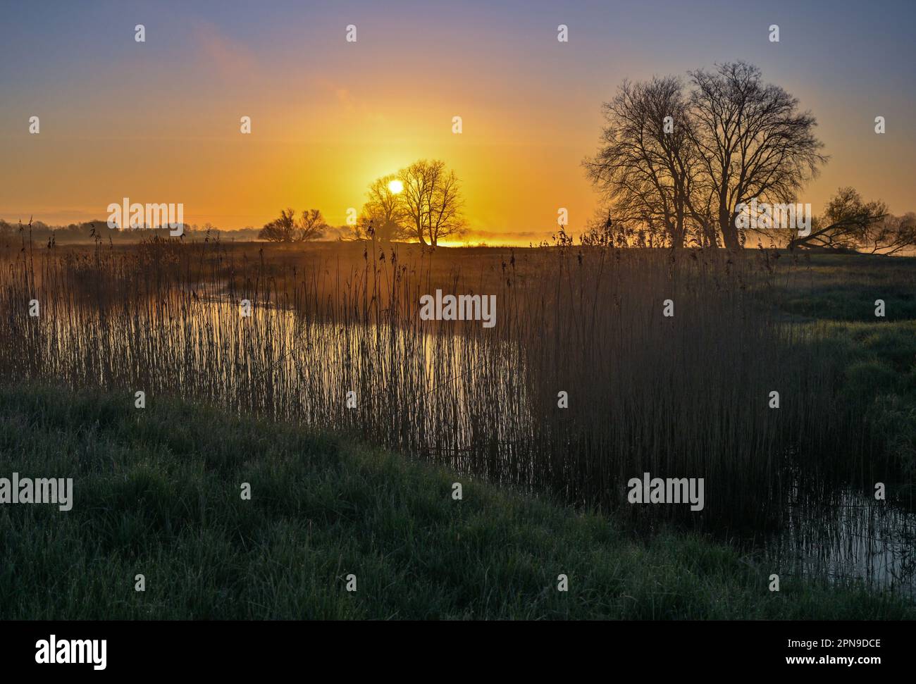 Lebus, Germany. 12th Apr, 2023. Sunrise in the Oder foreland between ...