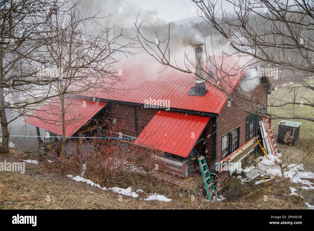Sap house while boiling to make maple syrup, Roseboom, Otsego County, rural New York State Stock Photo