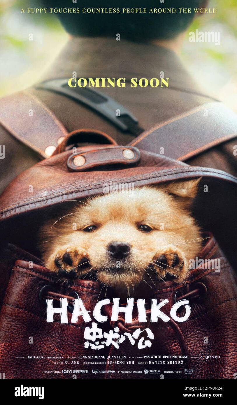 HACHIKO, poster, 2023. © iQIYI Pictures / Courtesy Everett Collection