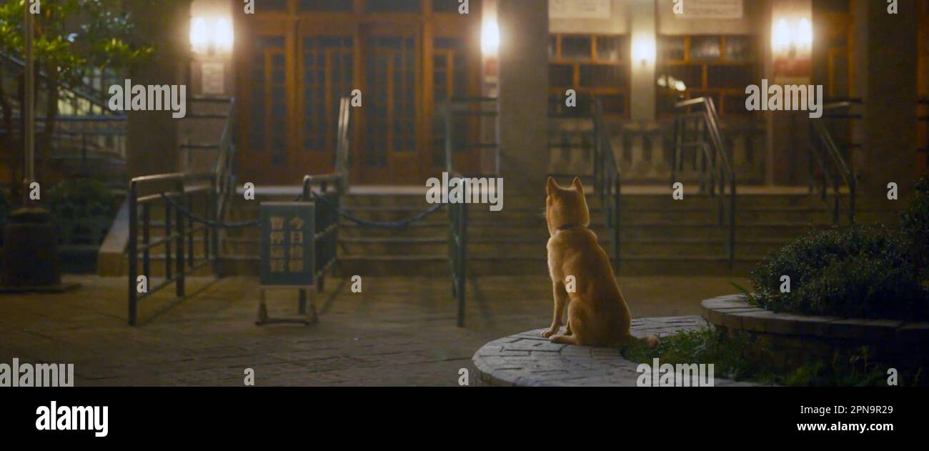 HACHIKO, 2023. © iQIYI Pictures / Courtesy Everett Collection Stock