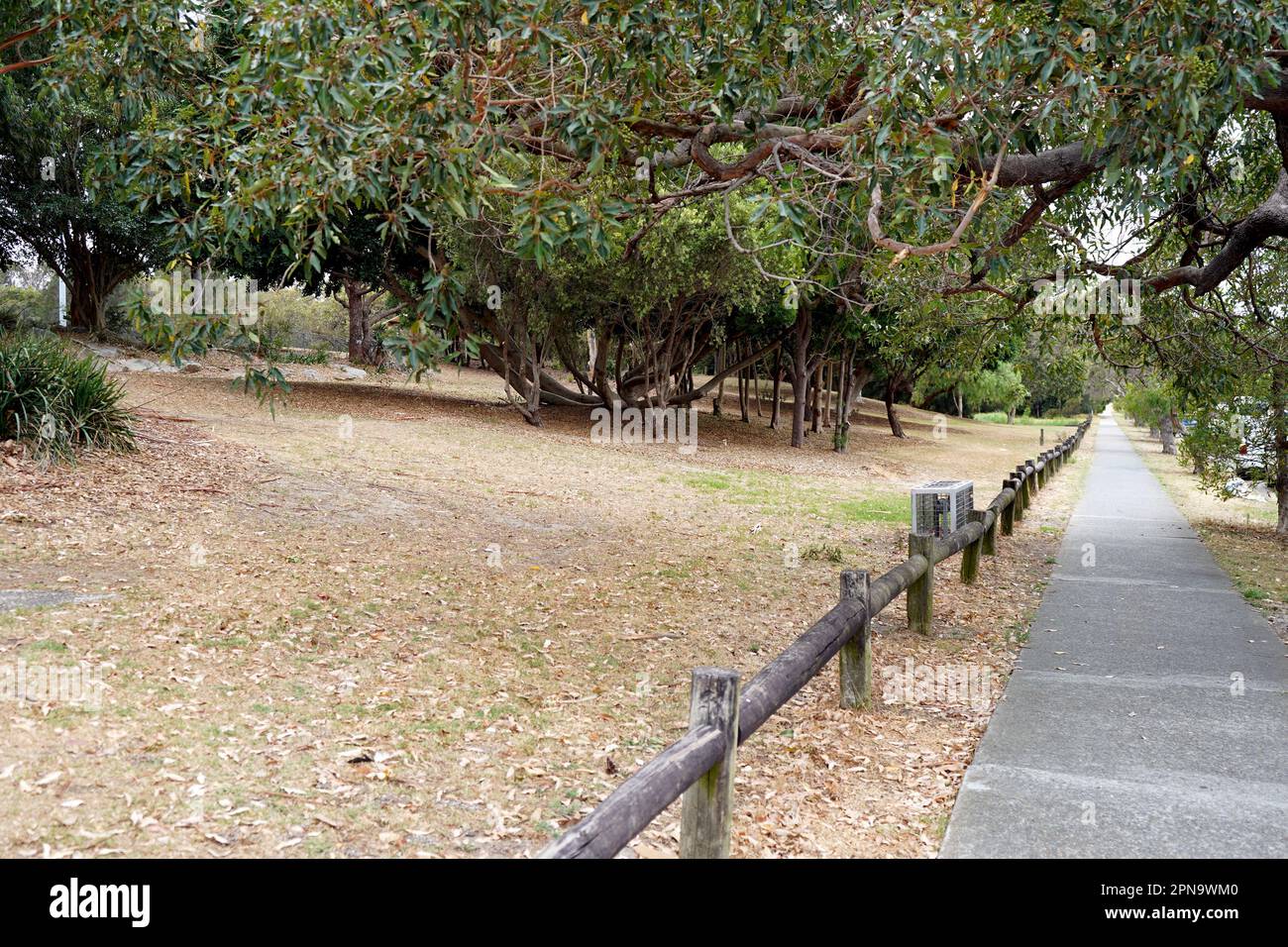 Sidewalk In President Ave Next To Rockdale Bicentennial Park In Sydney 