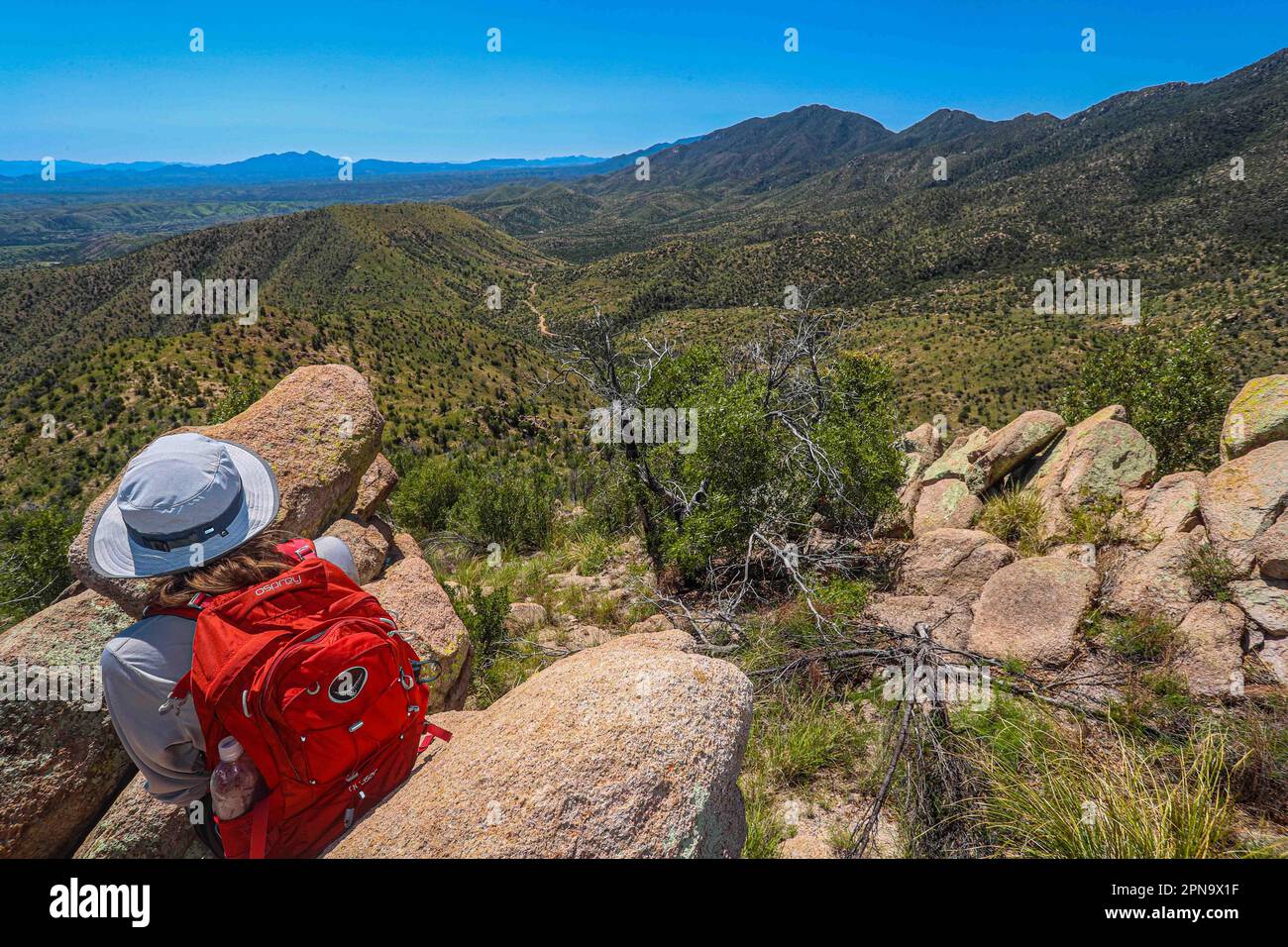 A woman named Rachael Hurst watches the forest landscape on the horizon. On a rock her travel backpack. During the expedition, biologists and scientists from MEX and the USA from different disciplines of biological sciences and personnel from the AJOS-BAVISPE CONANP National Forest Reserve and Wildlife Refuge, in the Sierra Buenos Aires carry out the Madrean Diversity Expedition (MDE) in Sonora Mexico. Conservation , Nature (© Photo by Luis Gutierrez / Norte Photo)  Una mujer de nombre Rachael Hurst observa el paisaje de bosque  en el horizonte. Sobre una roca su mochila de viaje. Durante expe Stock Photo