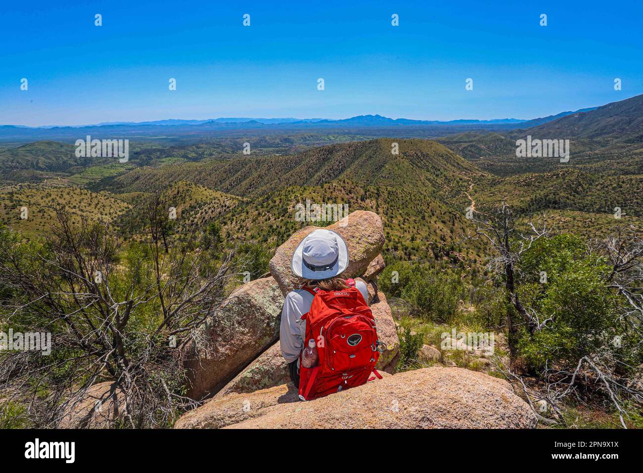 A woman named Rachael Hurst watches the forest landscape on the horizon. On a rock her travel backpack. During the expedition, biologists and scientists from MEX and the USA from different disciplines of biological sciences and personnel from the AJOS-BAVISPE CONANP National Forest Reserve and Wildlife Refuge, in the Sierra Buenos Aires carry out the Madrean Diversity Expedition (MDE) in Sonora Mexico. Conservation , Nature (© Photo by Luis Gutierrez / Norte Photo)  Una mujer de nombre Rachael Hurst observa el paisaje de bosque  en el horizonte. Sobre una roca su mochila de viaje. Durante expe Stock Photo