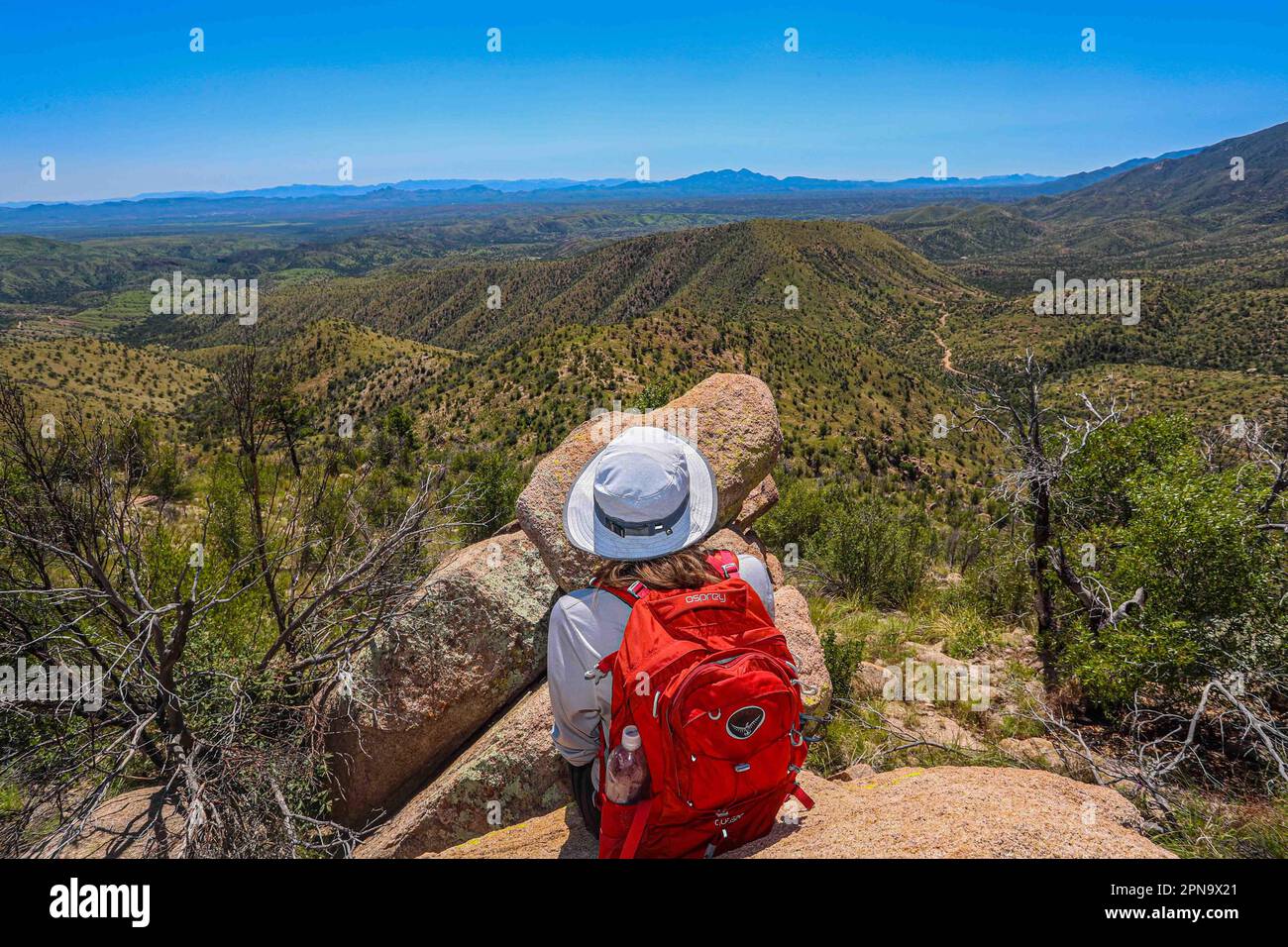A woman named Rachael Hurst watches the forest landscape on the horizon. On  a rock her travel backpack. During the expedition, biologists and  scientists from MEX and the USA from different disciplines