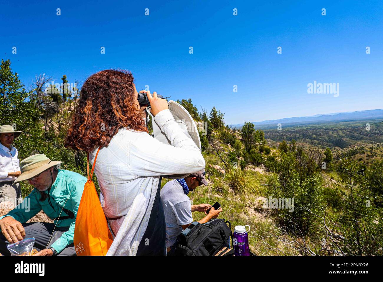 Cecilia Ochoa, a biologist, observes through vinoculars while the rest of the group rests on top of the hill. During the expedition, biologists and scientists from MEX and the USA from different disciplines of biological sciences and personnel from the AJOS-BAVISPE CONANP National Forest Reserve and Wildlife Refuge, in the Sierra Buenos Aires carry out the Madrean Diversity Expedition (MDE) in Sonora Mexico. Conservation , Nature (© Photo by Luis Gutierrez / Norte Photo)  Cecilia Ochoa biologa, observa con vinoculares mientras el resto del grupo descansa en la cima del cerro. Durante expeditio Stock Photo