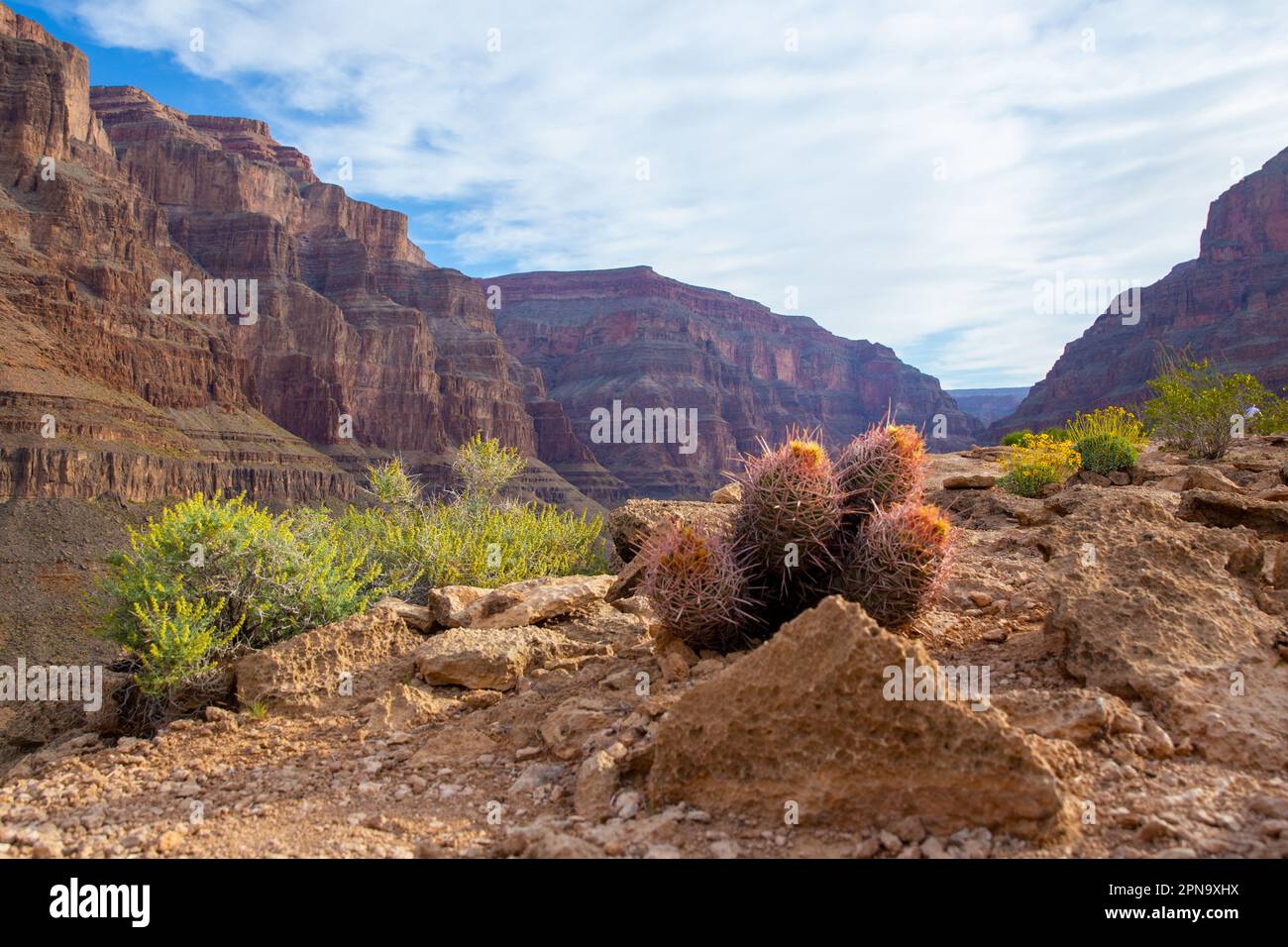 Bottom of canyon hi-res stock photography and images - Alamy