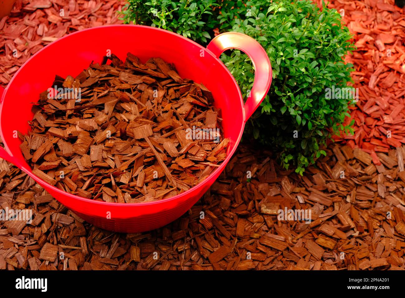 Mulching soil cover.Decorative chips garden.Red chips for mulching in