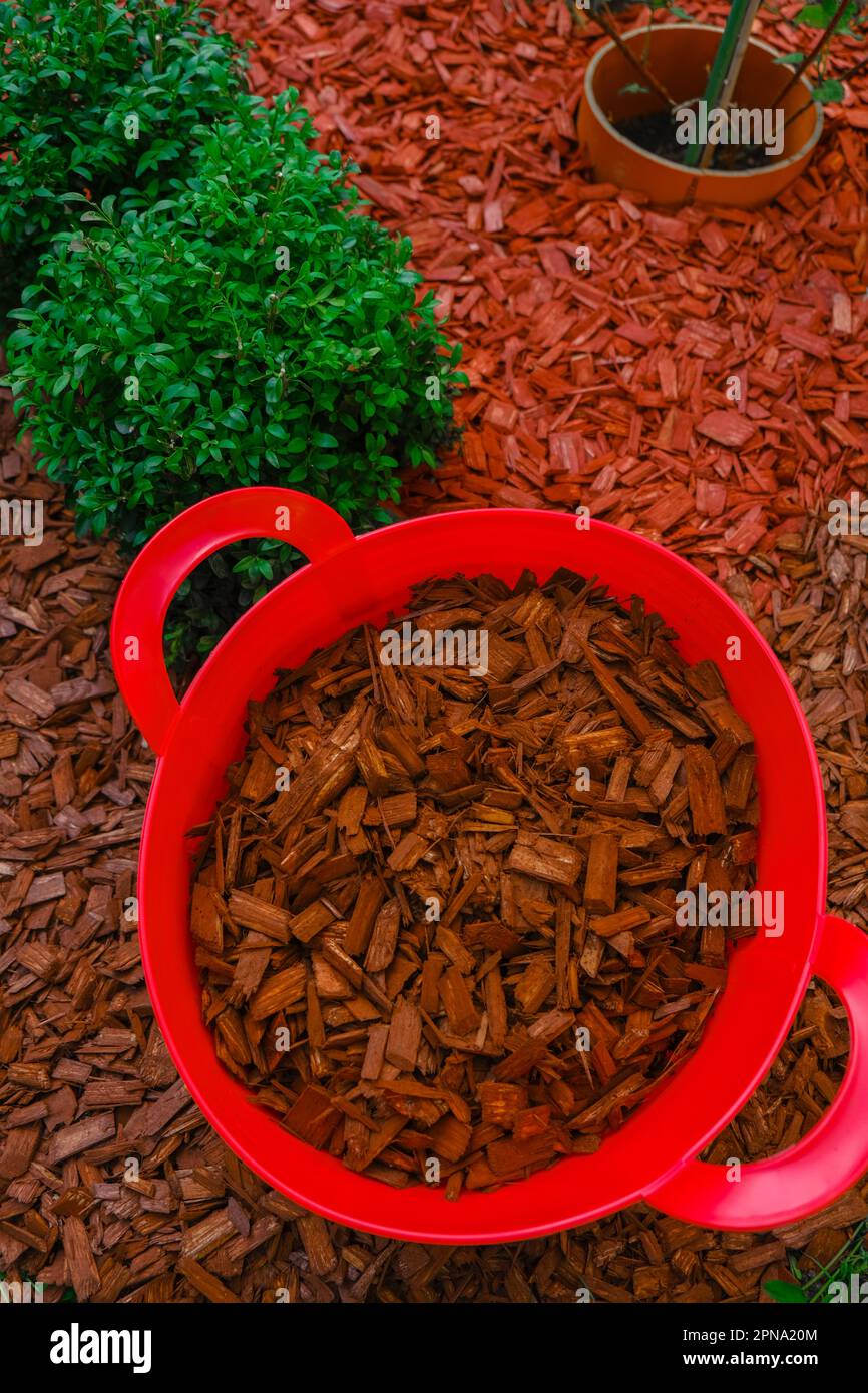 Mulching soil cover made of natural materials.Decorative chips for the