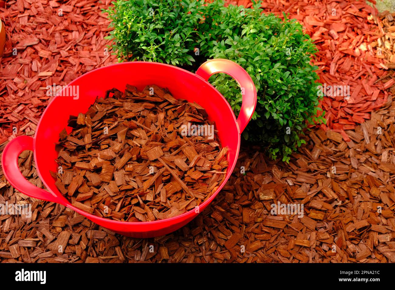 Mulching soil cover made of natural materials.Decorative chips garden