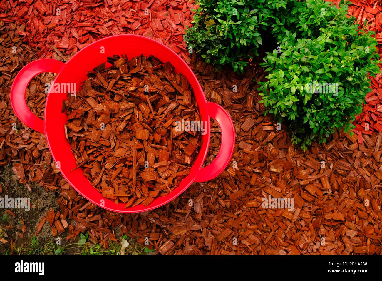 Mulching soil cover made of natural materials. chips for the garden.Red
