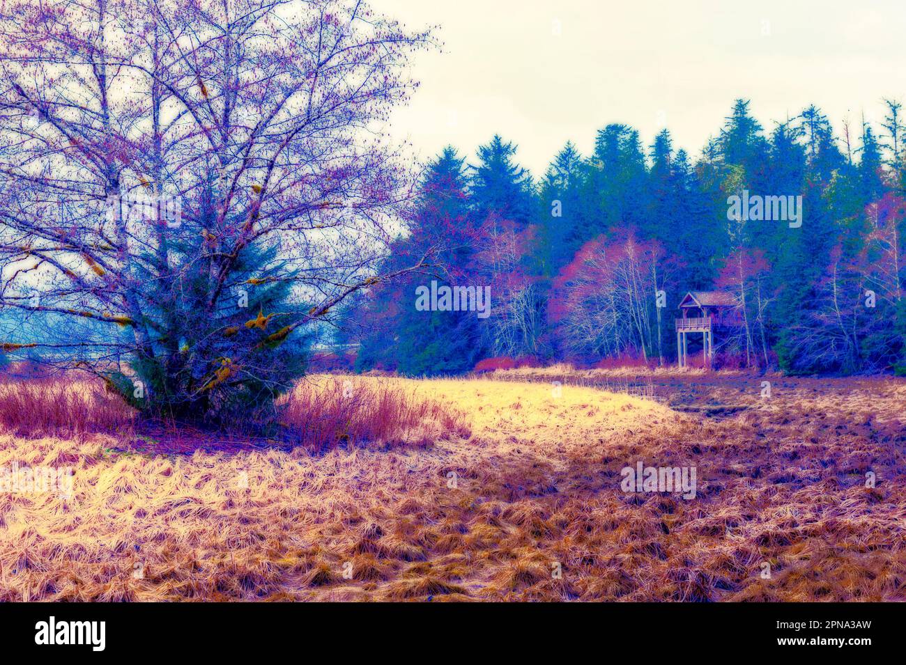 Estuary area at Starrigavan Recreation area near Sitka, Alaska, USA. Stock Photo