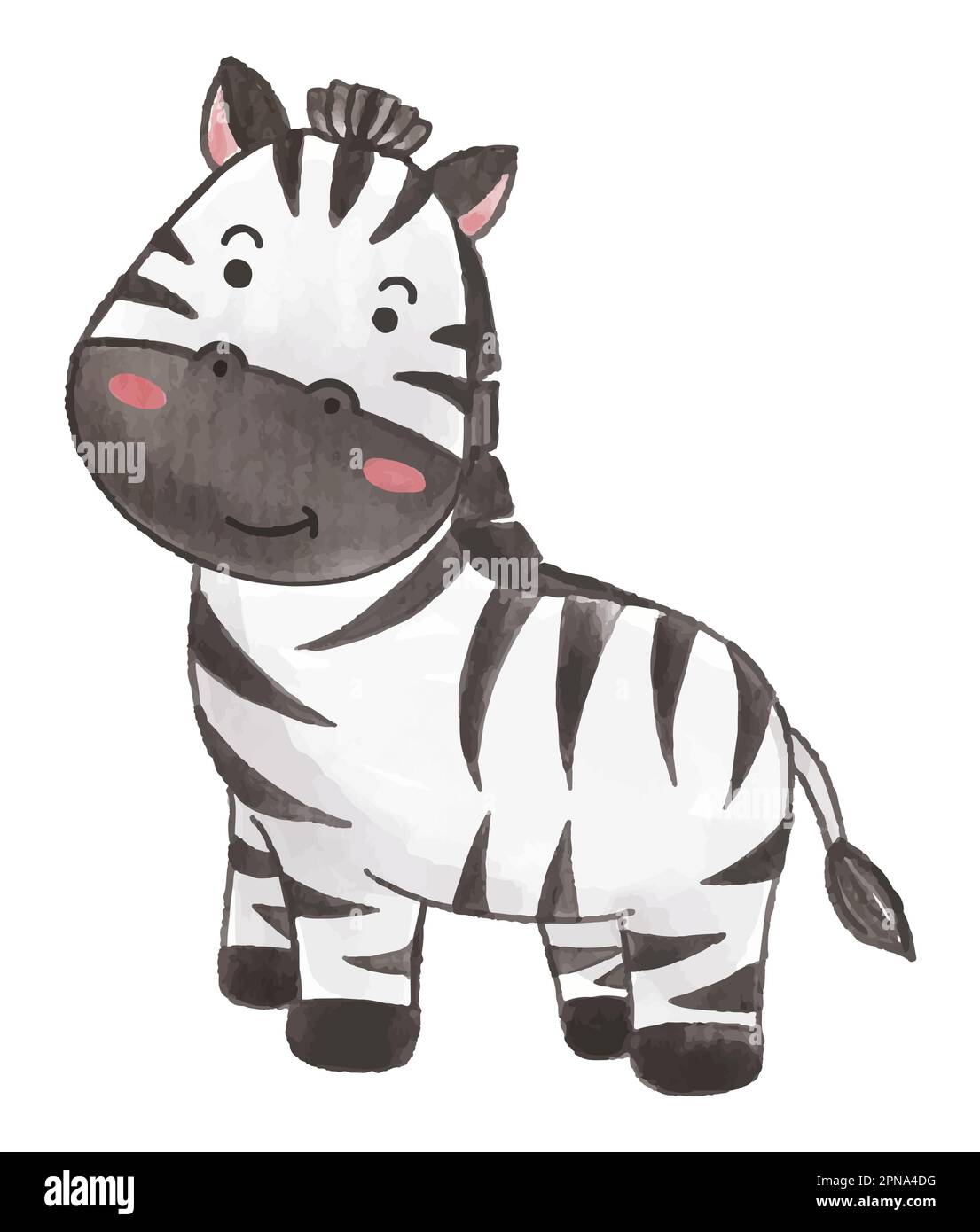 Zebra . Watercolor paint design . Cute animal cartoon character . Standing position . Vector . Stock Vector
